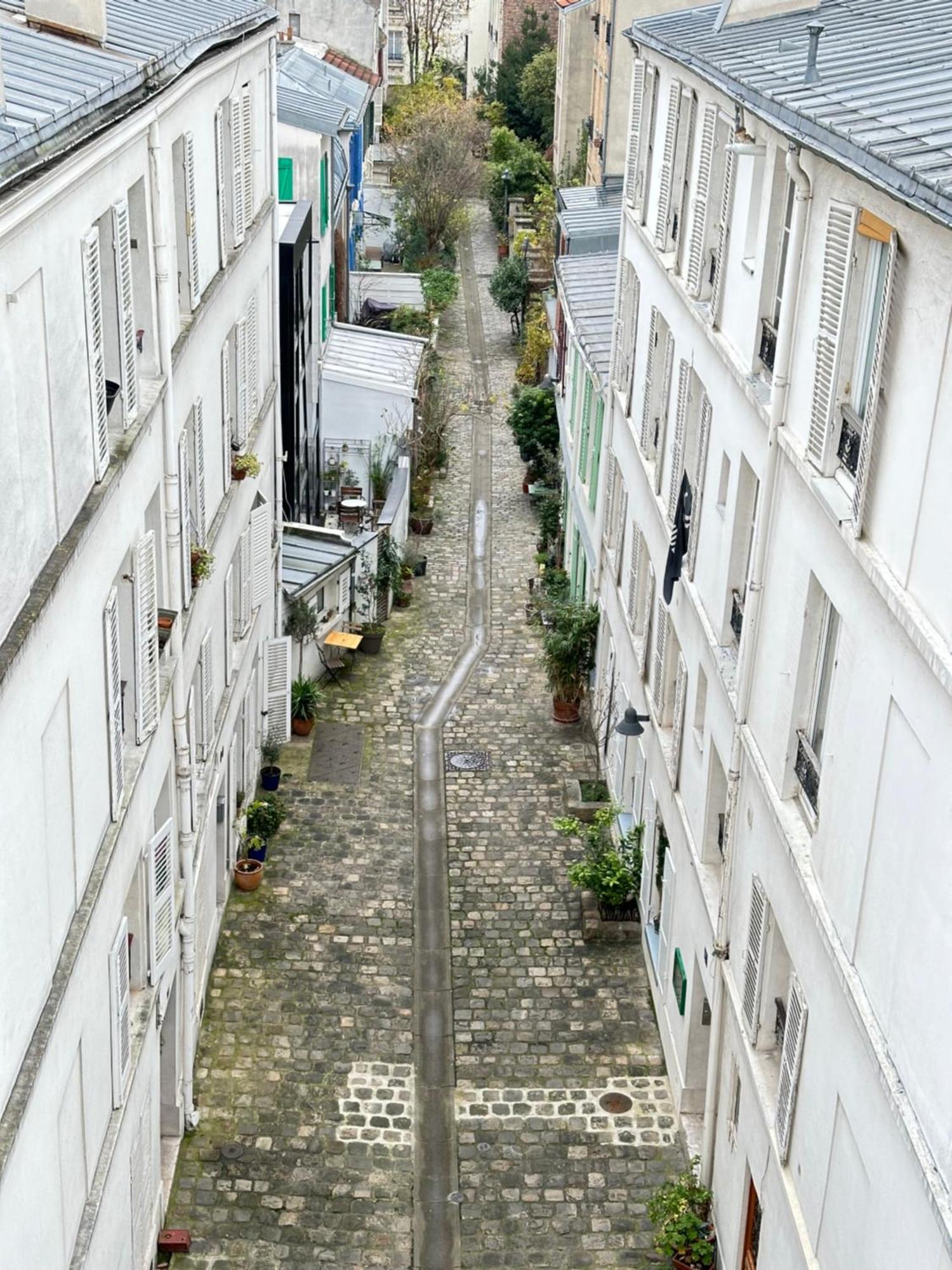 Villette - Buttes Chaumont'S Park -Entire Flats Paris Exteriör bild